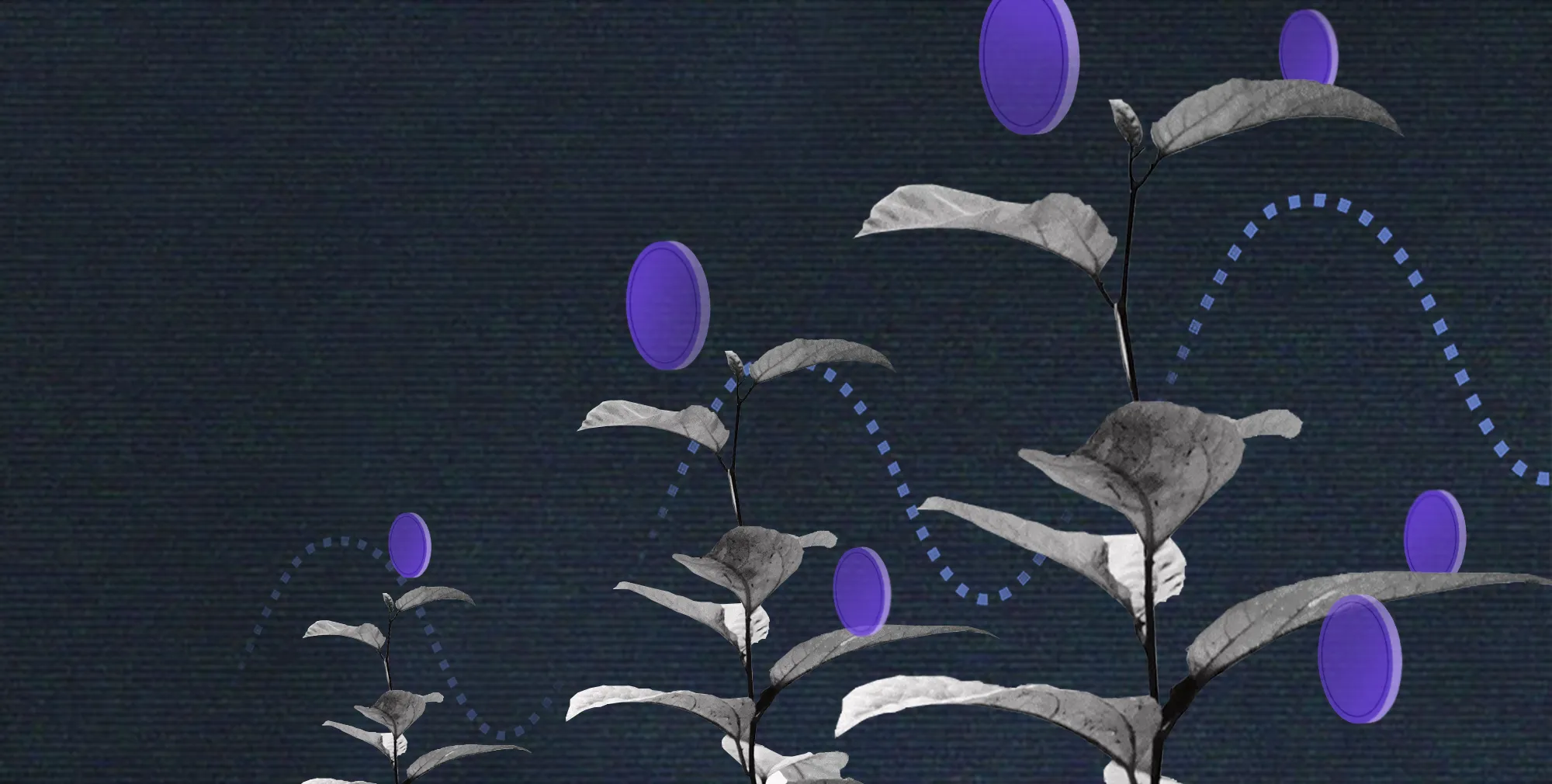 plant_coin